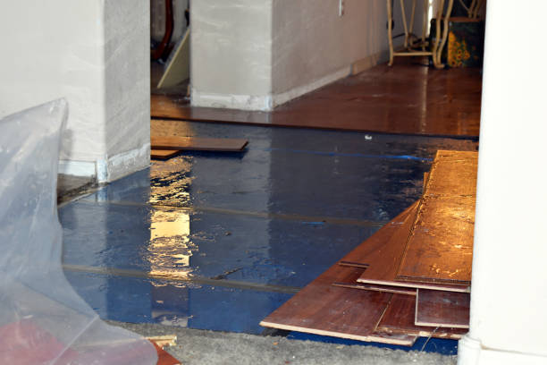 Professional Water Damage Restoration technician working in Simla, CO